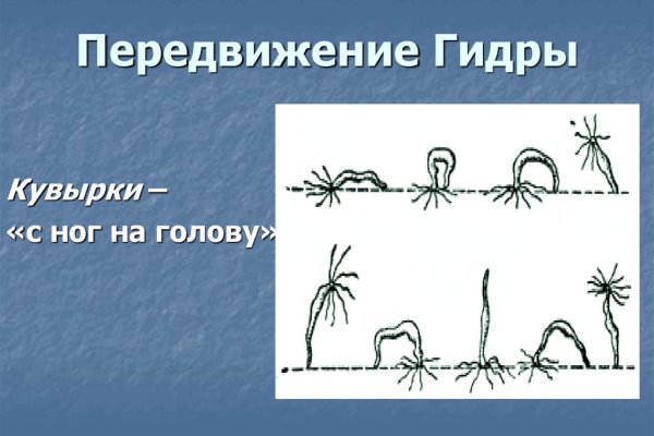Официальный сайт даркнет