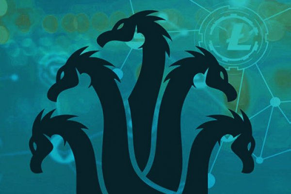 Kraken 11at