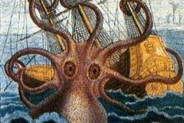 Kraken market