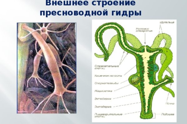 Как зайти на кракен без тора