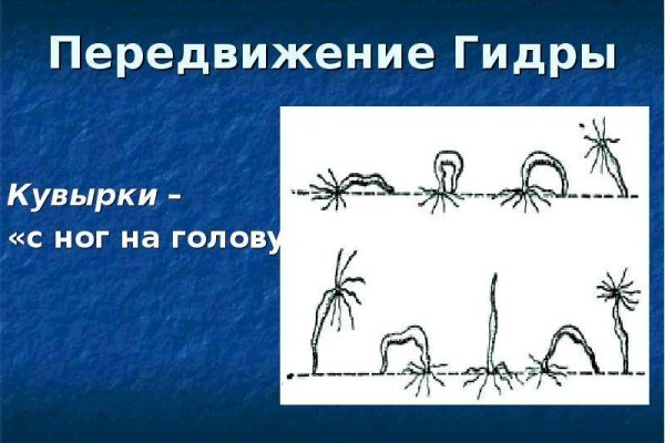 Не могу зайти в аккаунт кракен