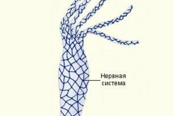 Kraken 19 at сайт