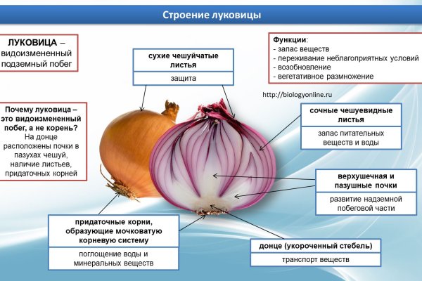 Спрут мега кракен