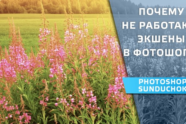 Кракен маркет только через тор скачать
