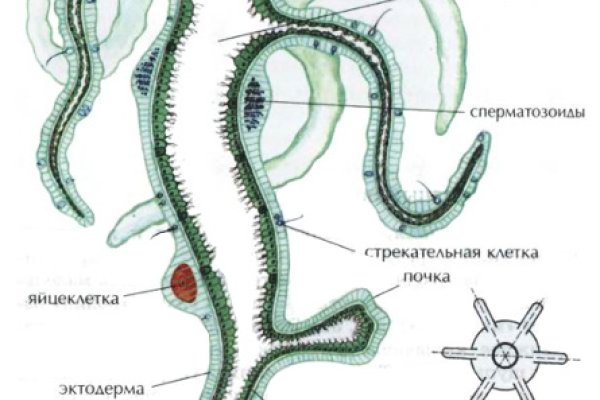 Нарко маркетплейсы