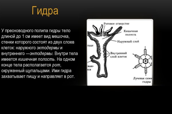 Кракен зеркало рабочее на сегодня krakenat2krnkrnk com