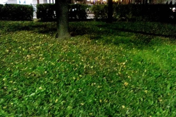 Кракен даркнет маркет ссылка тор