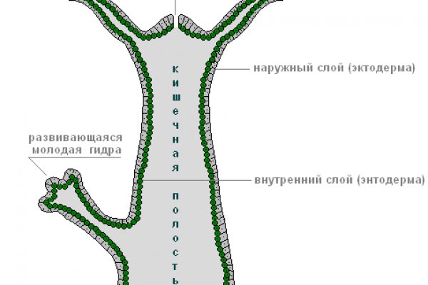 Как попасть на кракен с айфона