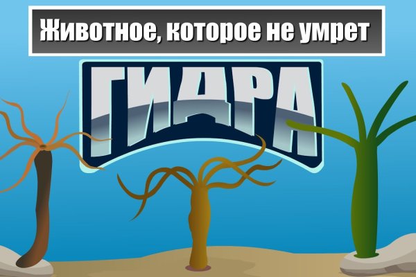 Кракен маркетплейс актуальные ссылки