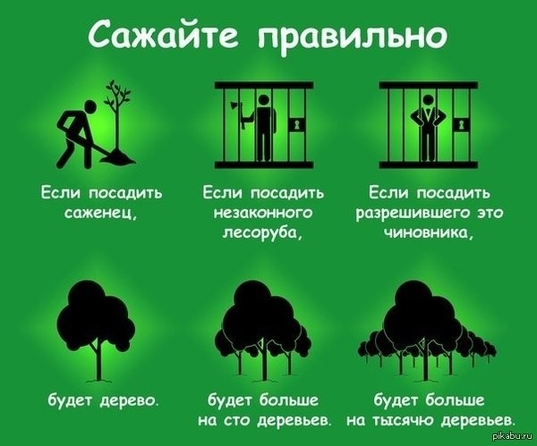 Сайт вместо гидры